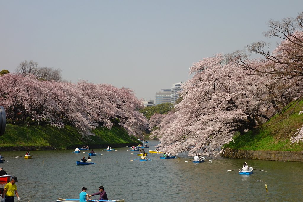 千鳥ヶ淵