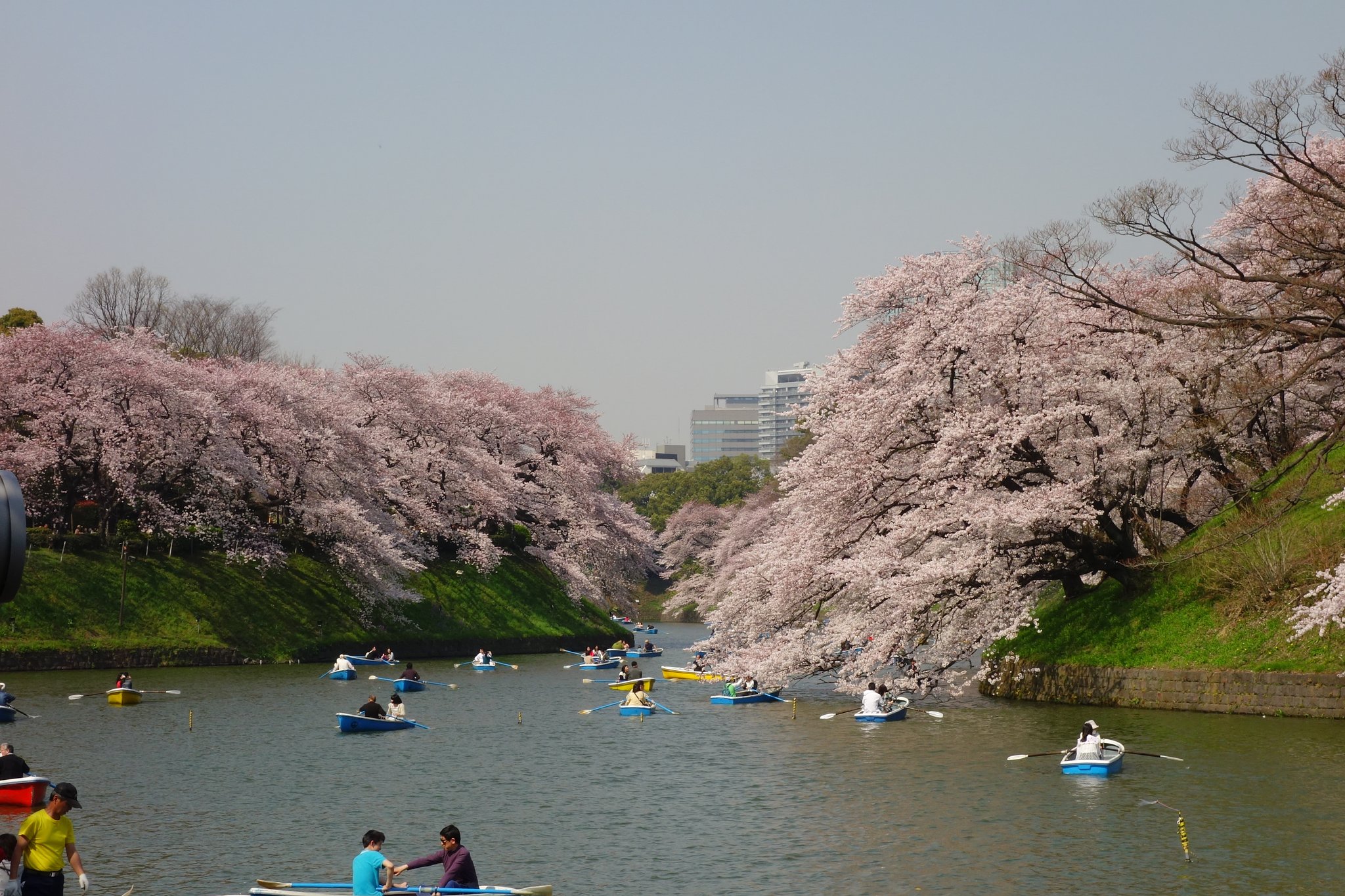 千鳥ヶ淵