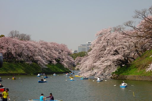 千鳥ヶ淵