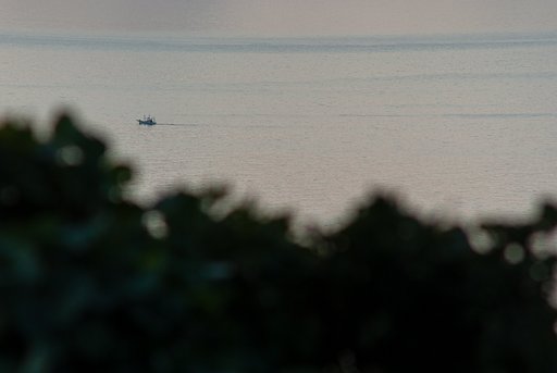 イカ釣り船が!