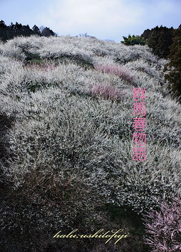 群馬春物語