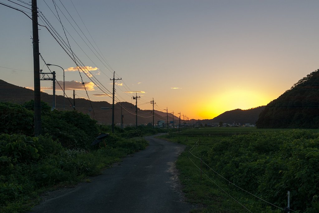 黄金色の夕日の入り!