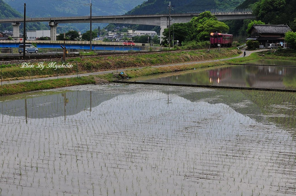 水景