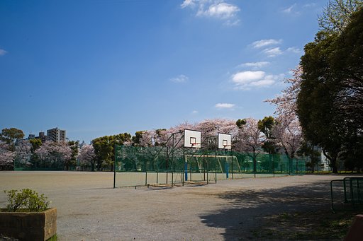 Elmarit-M 28mm F/2.8 ASPH