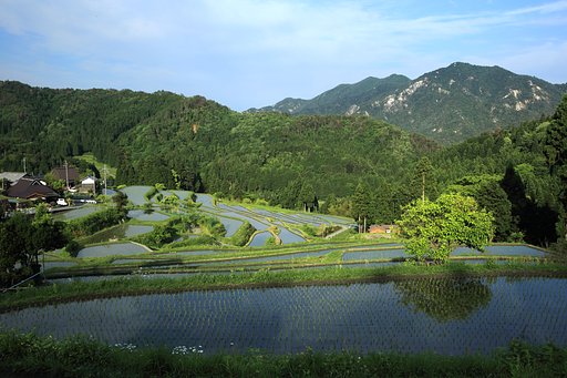 湖西にて　Ⅱ