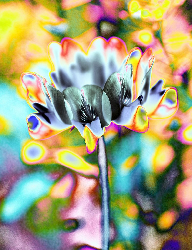 psychedelic
