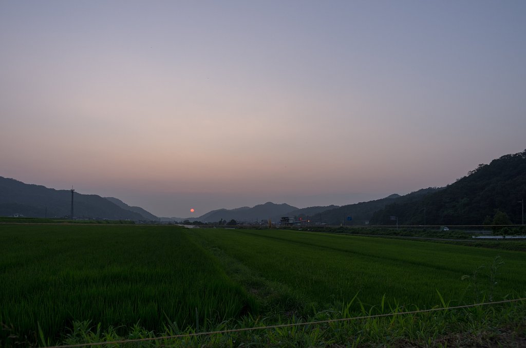 モヤットした赤い夕日。