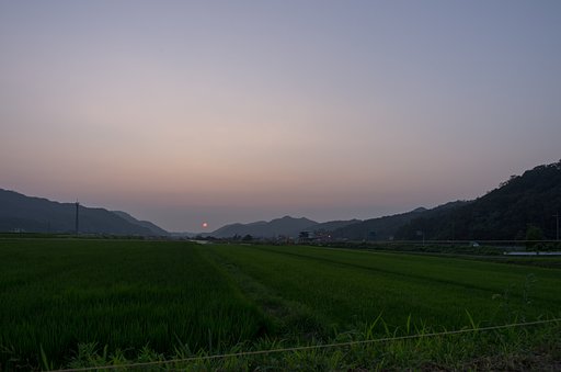 モヤットした赤い夕日。
