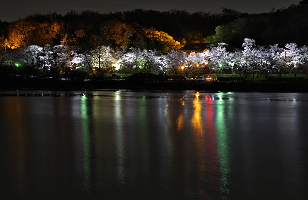 公園のライトアップ