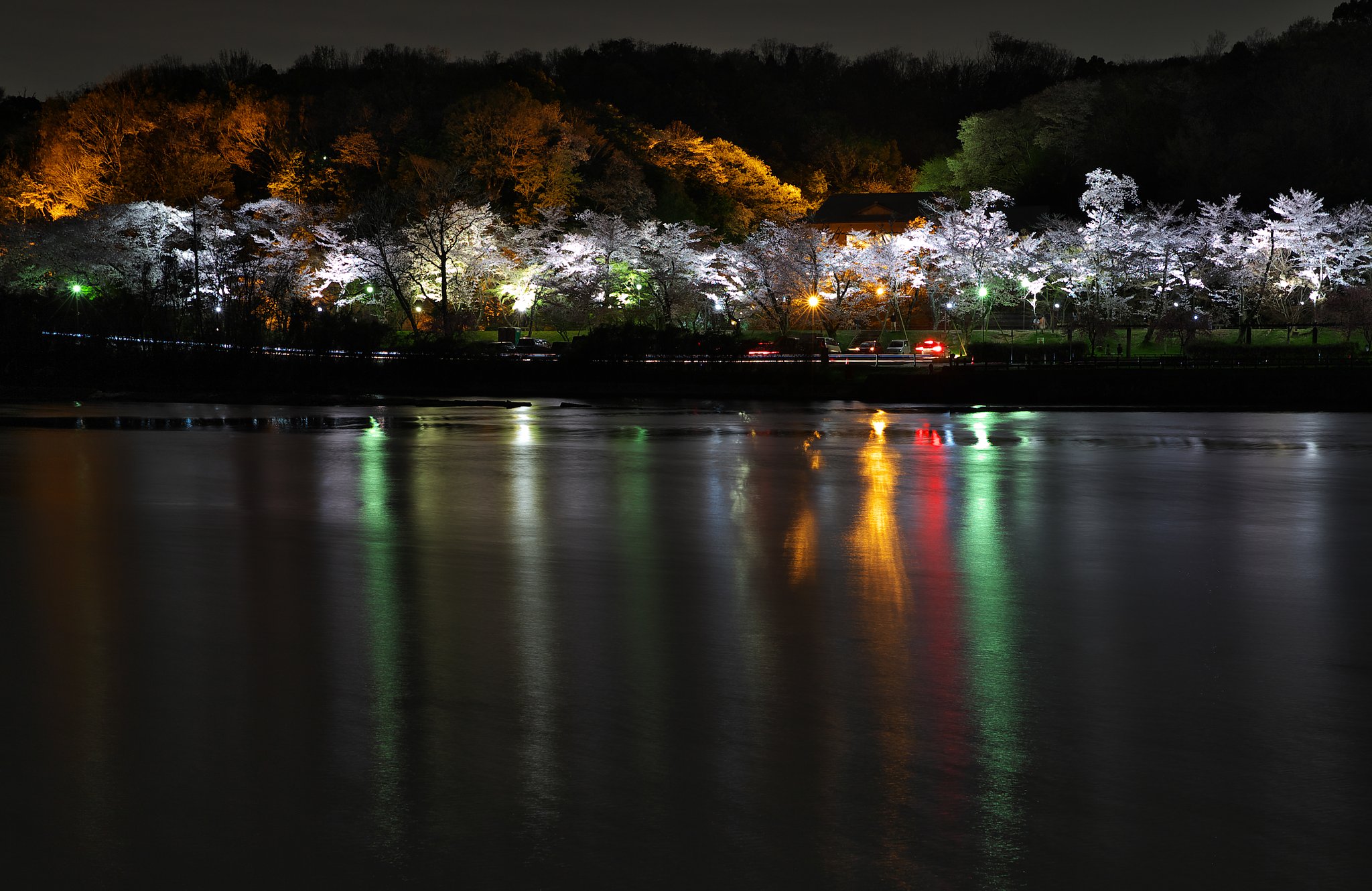 公園のライトアップ