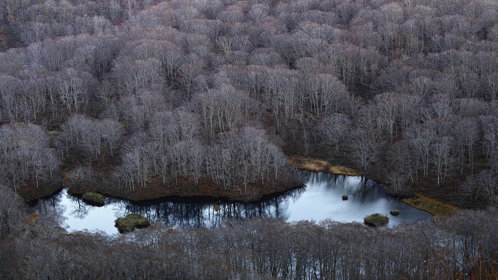 鶴間池