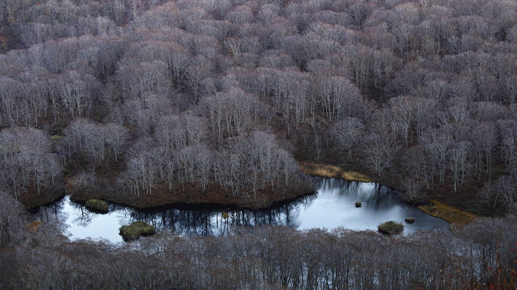 鶴間池