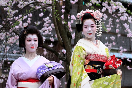 祇園の春