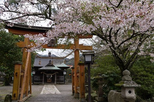 風吹けば
