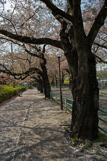 NIKKOR-H 28mm F3.5