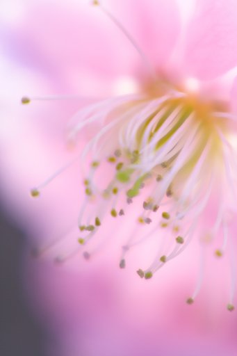 3月8日の写真