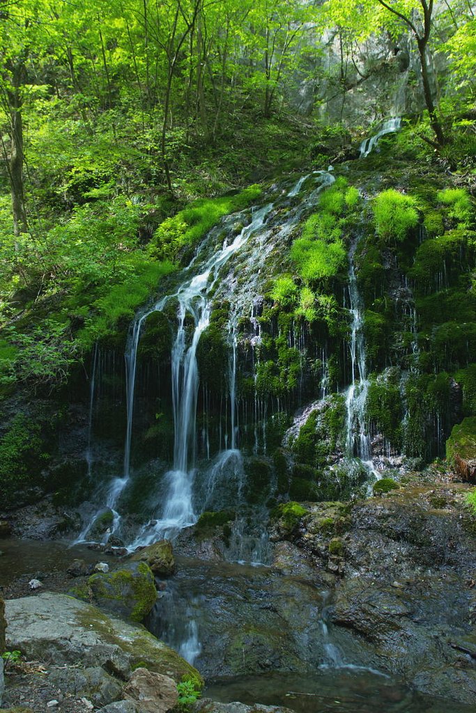 白水の滝