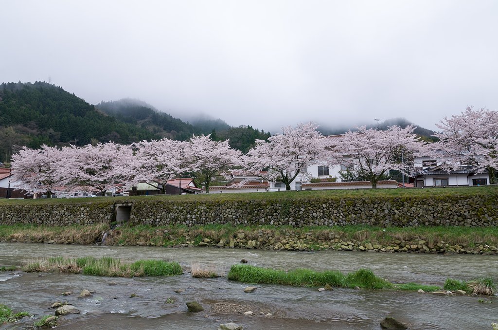 雨上り