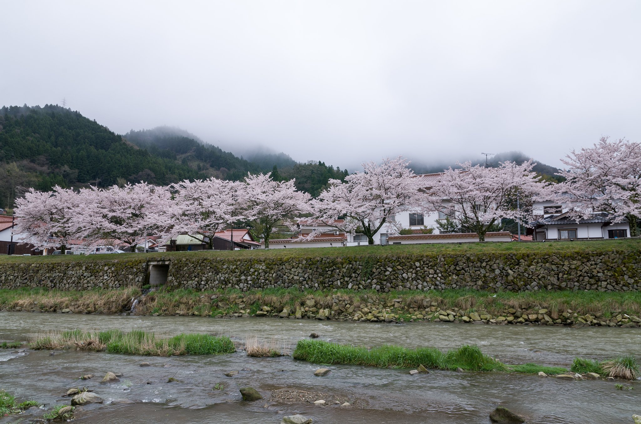 雨上り