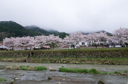 雨上り