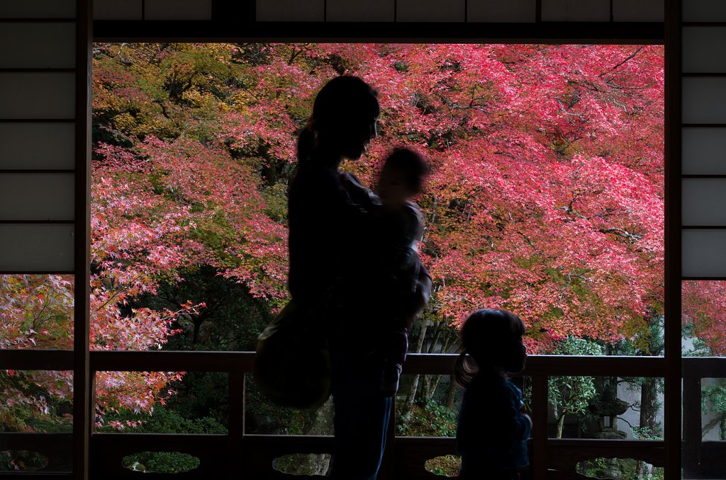 額紅葉3
