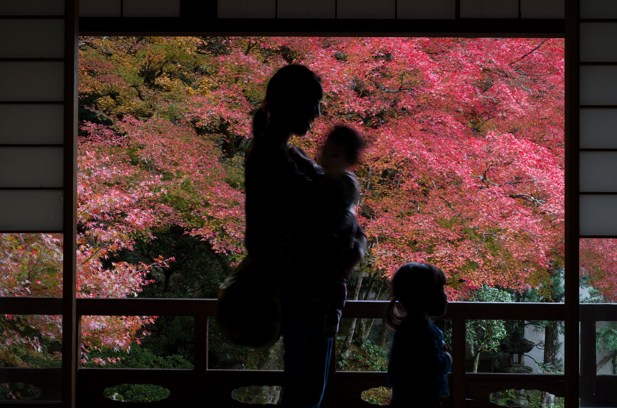 額紅葉3