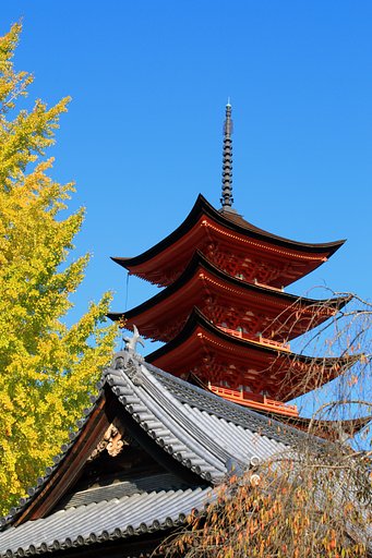 宮島にて