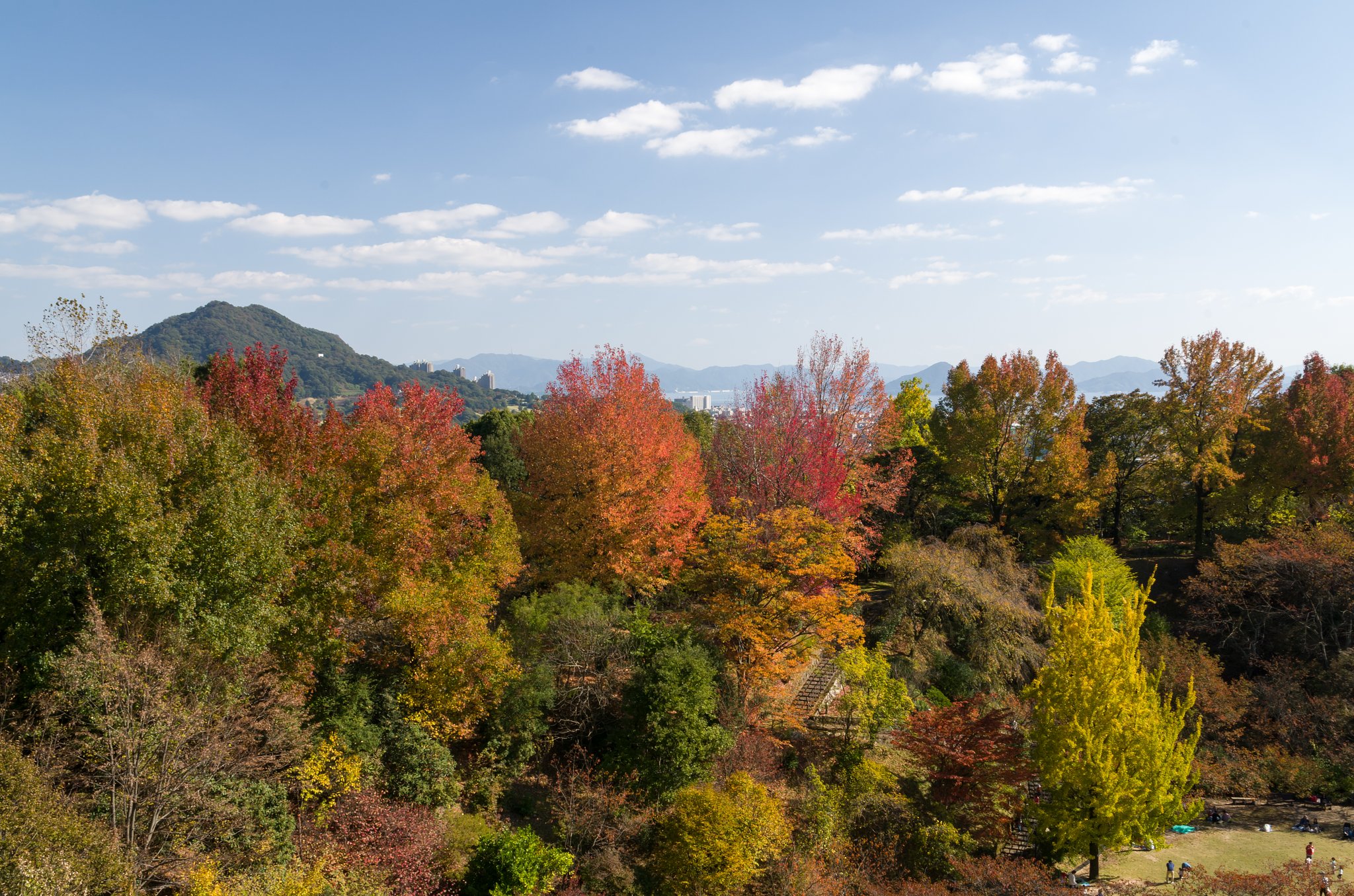 遠景