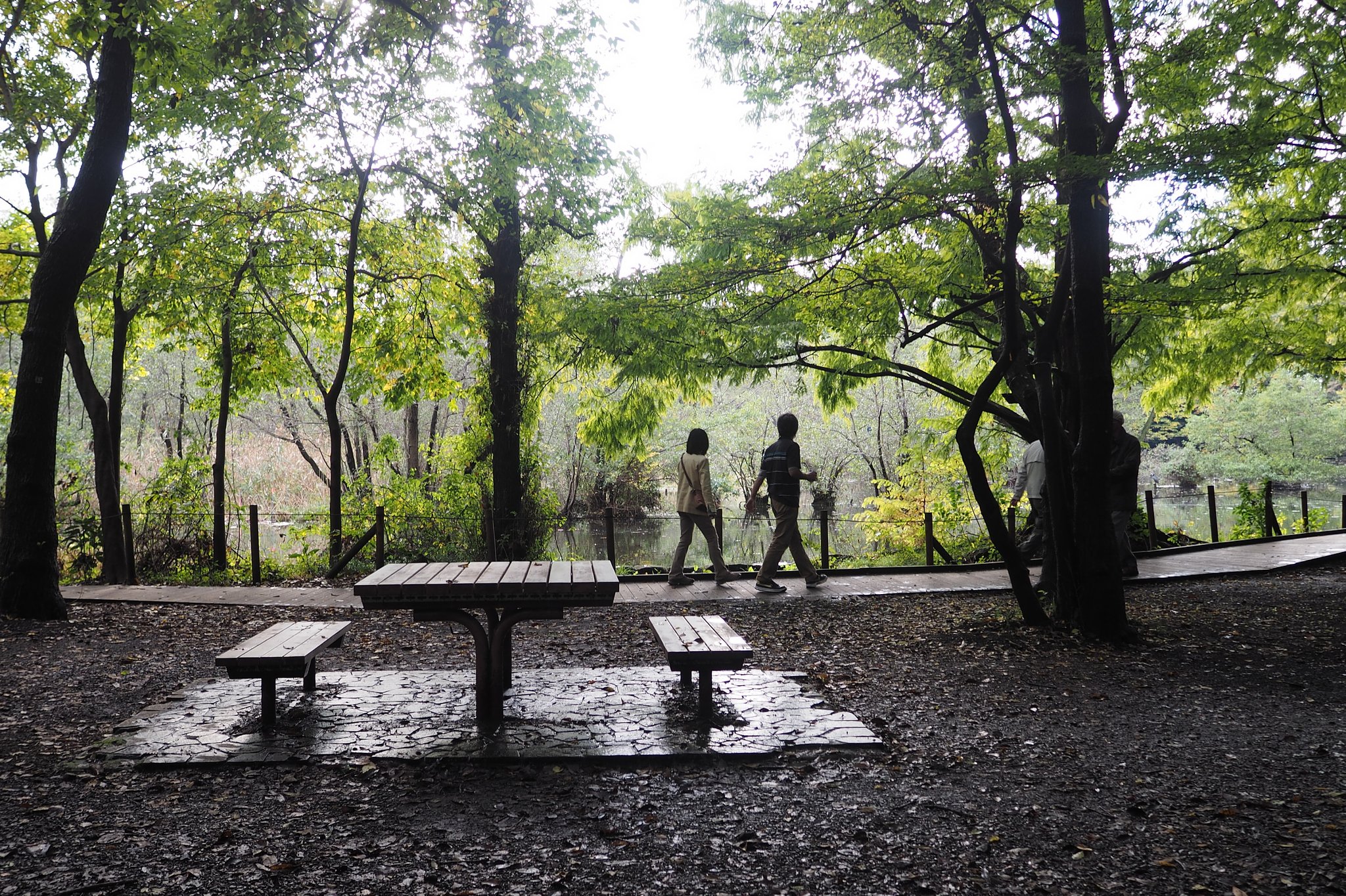 雨上がりの公園