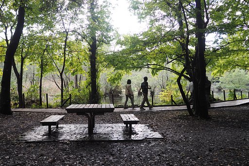 雨上がりの公園