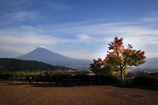１１月１７日の富士＠静岡県富士市