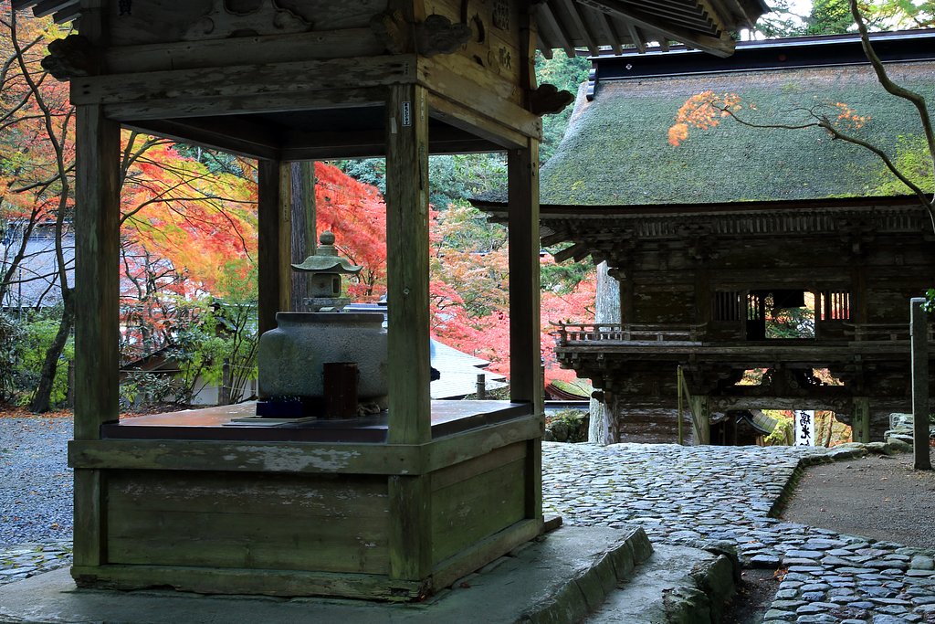朝の横蔵寺　Ⅱ