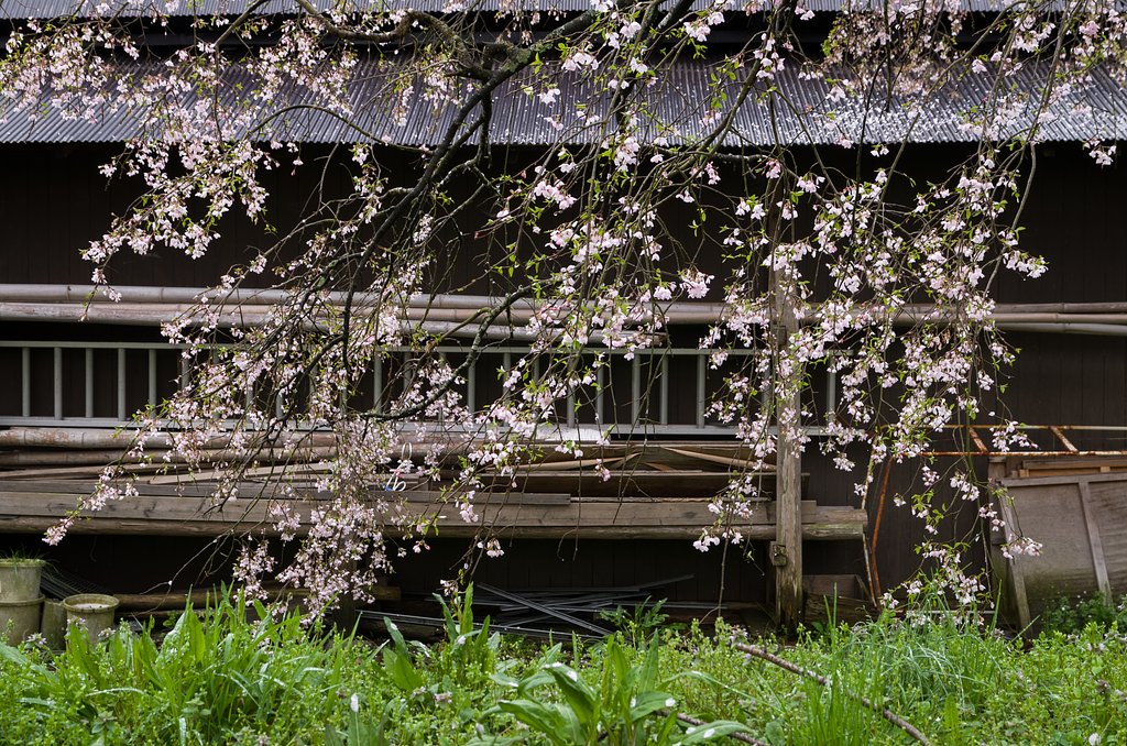 SIGMA 17-70mm F2.8-4 DC MACRO 
