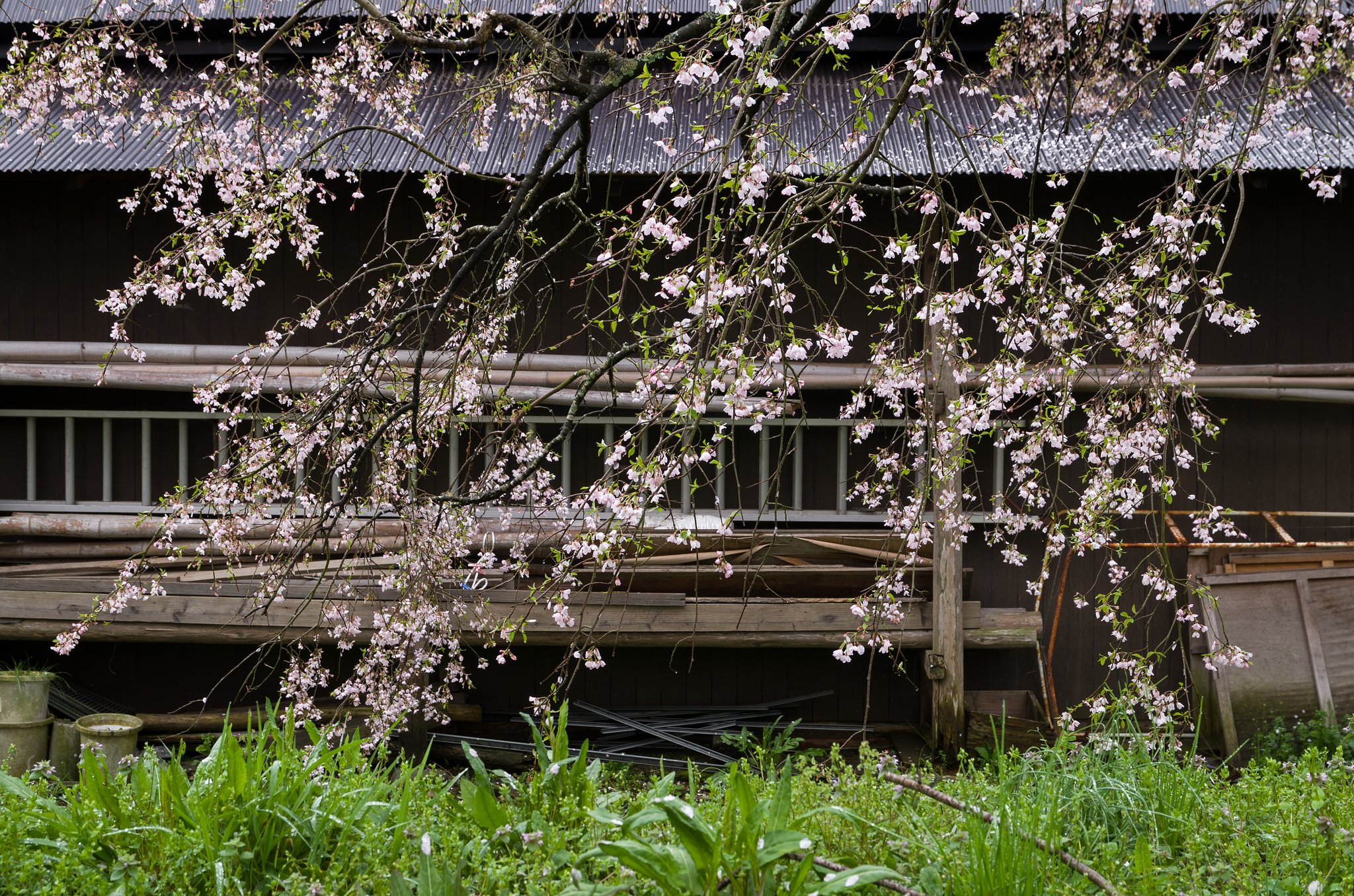 SIGMA 17-70mm F2.8-4 DC MACRO 