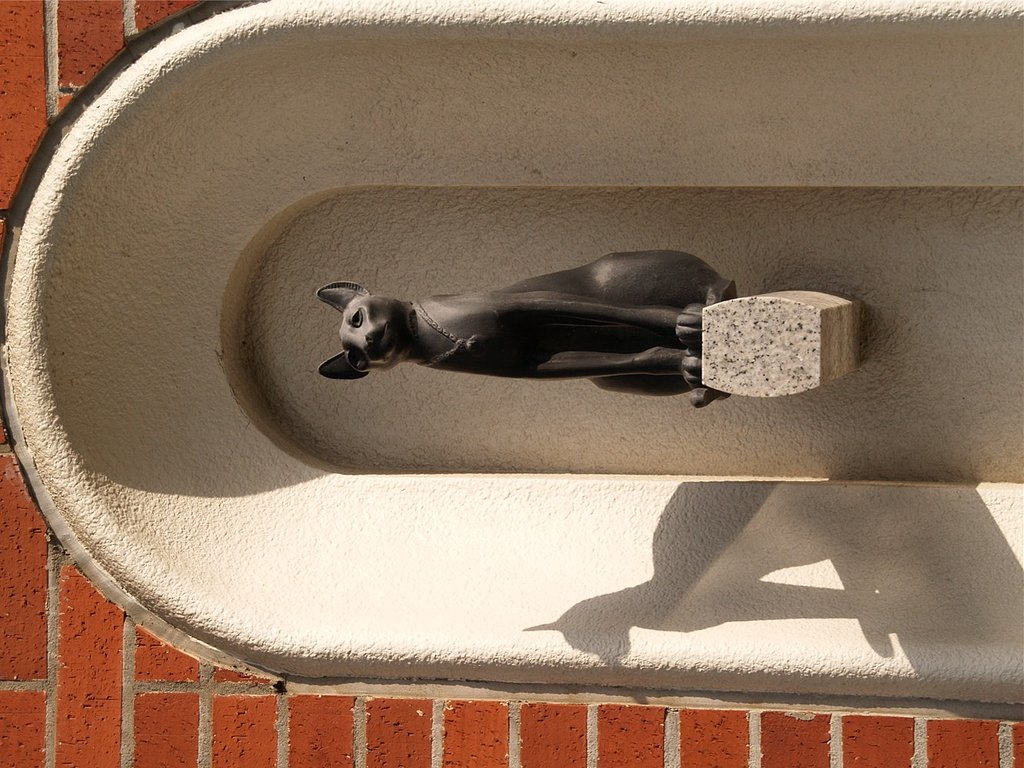 大仏次郎の猫
