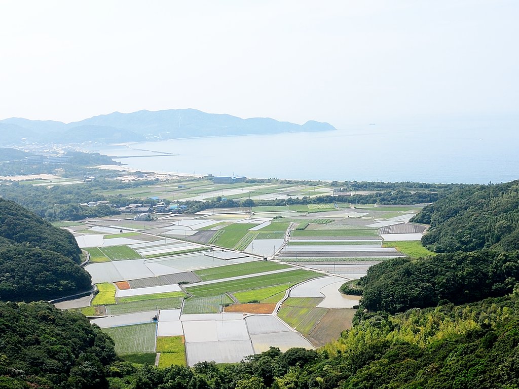 【広がり】田植えの季節