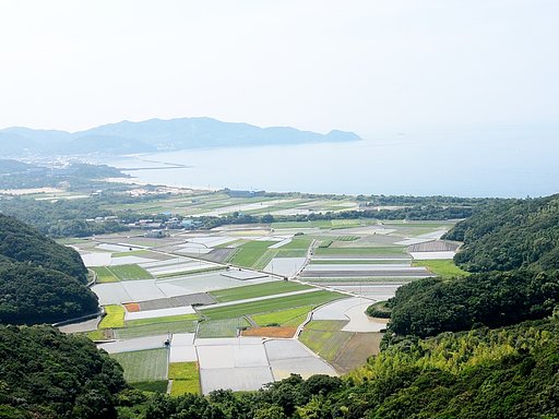 【広がり】田植えの季節