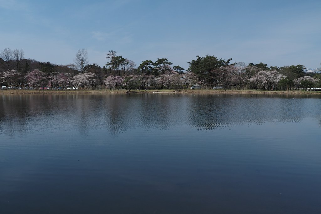 緩やかな春