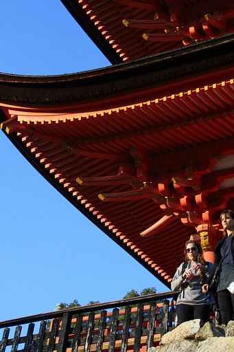 12月のお題は「今年の一枚」