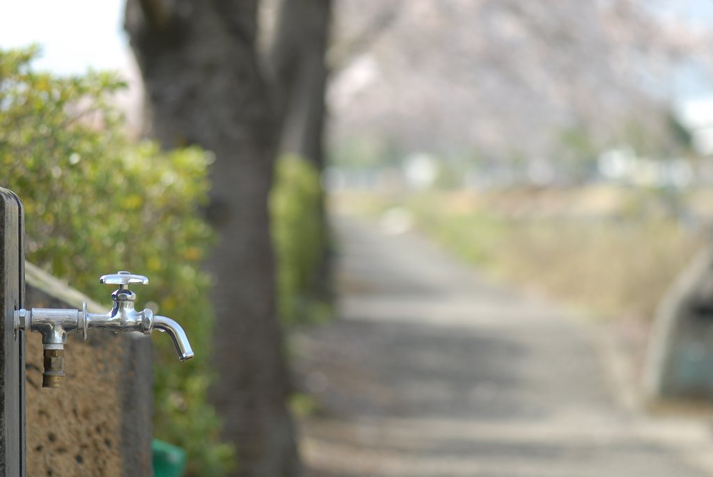 花見であればいいもの。
