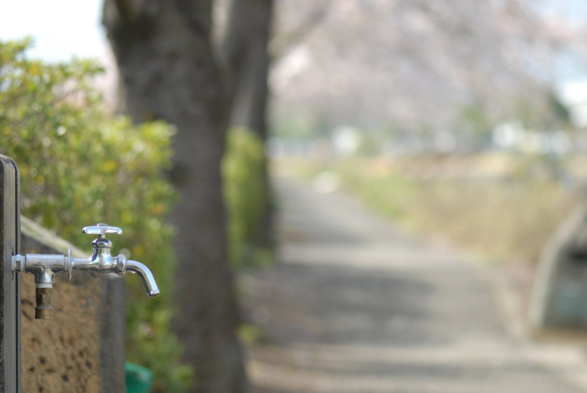 花見であればいいもの。