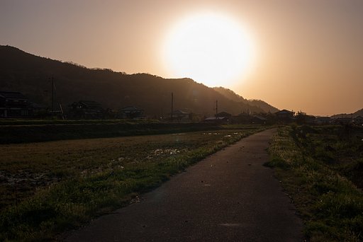 夕方の太陽が・・。