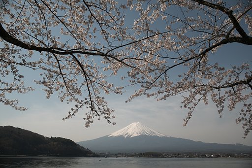 Distagon 2.8/28