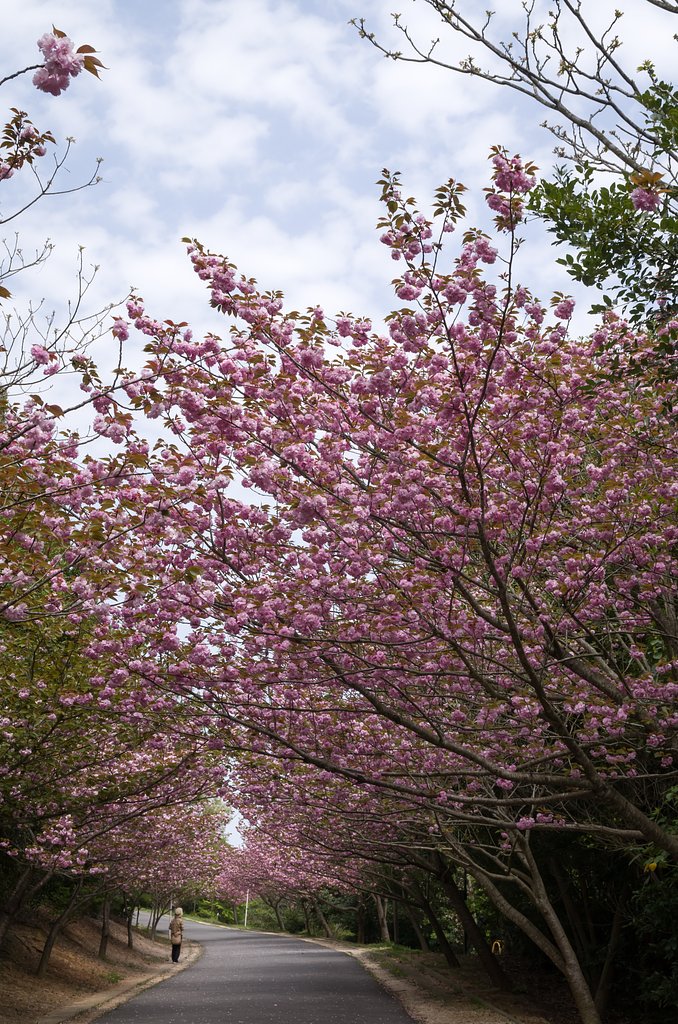 トンネル