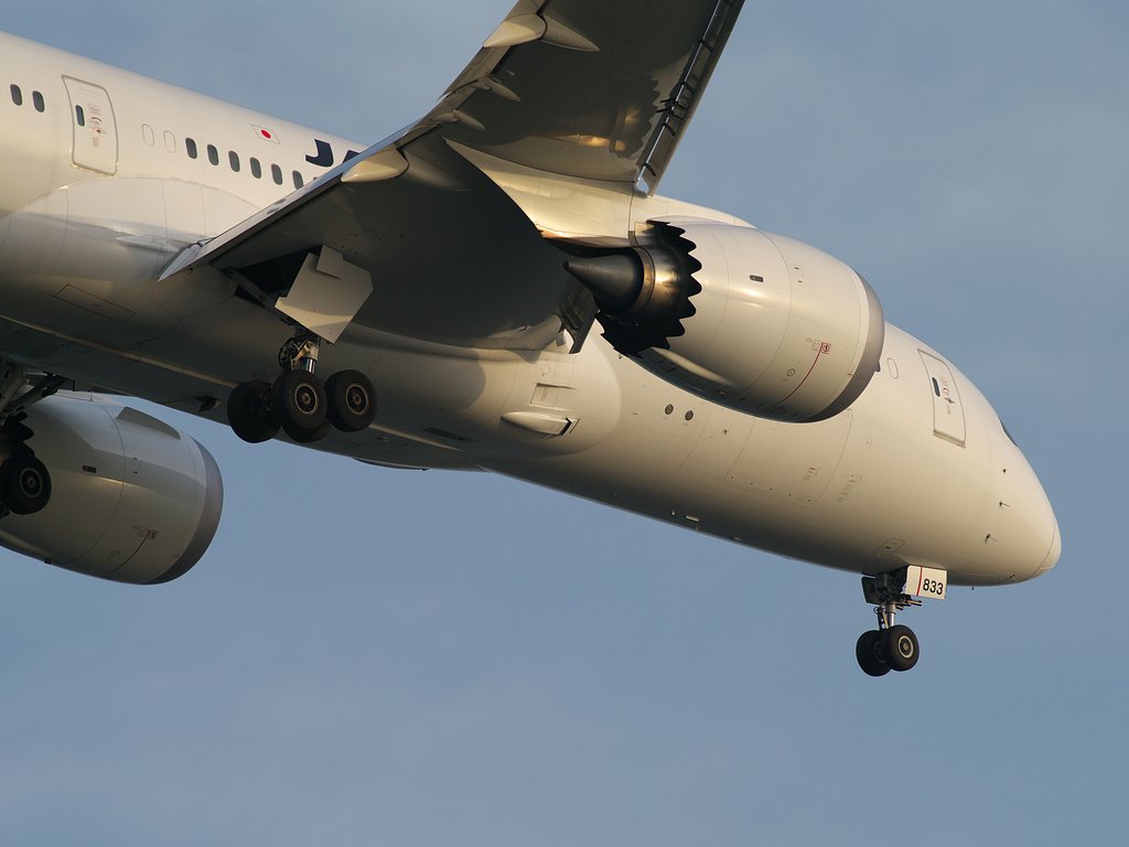 JALの787