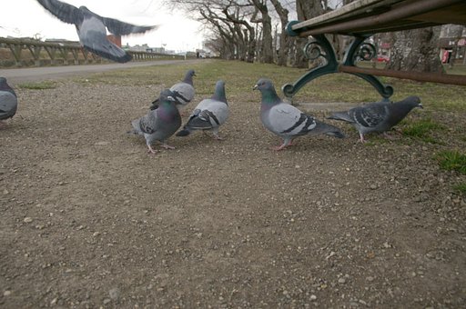 このおじさん、ヤバクね？