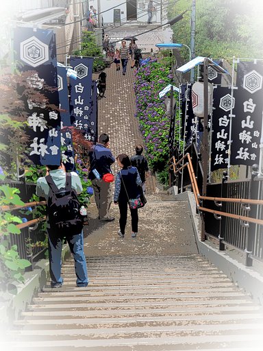 坂のある風景～白山神社～