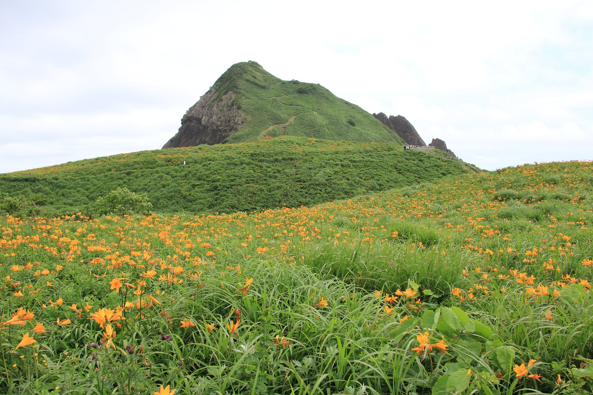 花の島