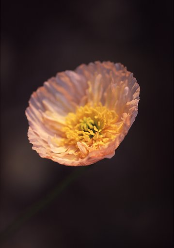 ぽかぽか(^.^)