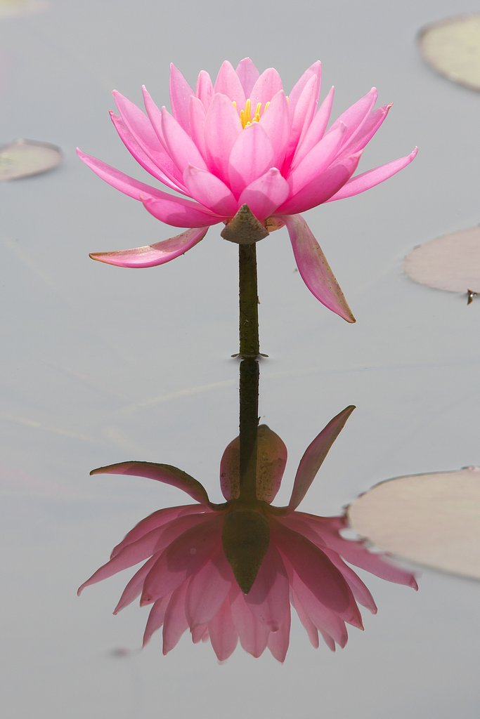 水鏡
